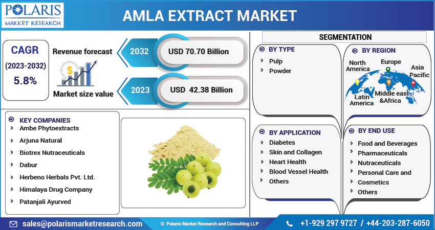 Global Amla Extract Market Share, Trends & Growth Report 2032