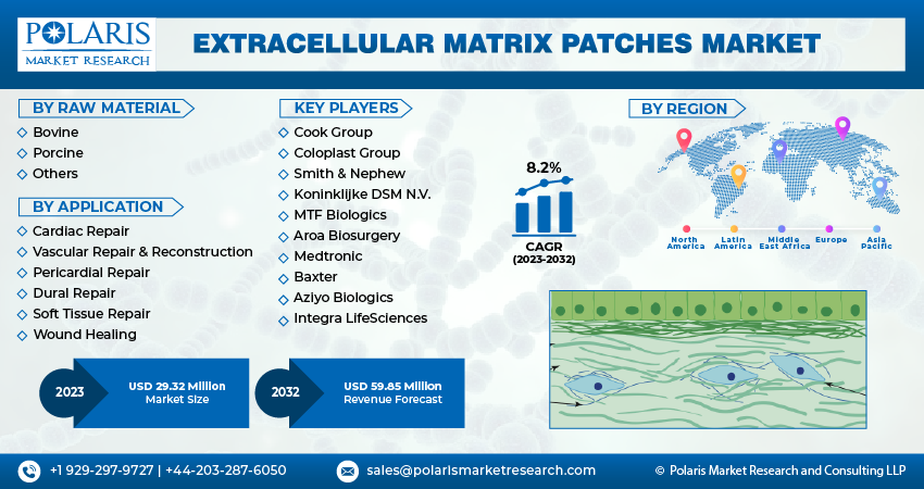 Global Extracellular Matrix Patches Market Size, Share Analysis