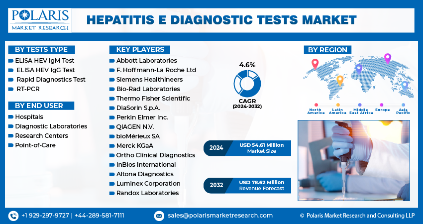 Hepatitis-E-Diagnostic-Tests-Market-infographics