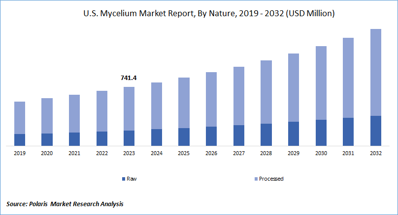 Mycelium Market Size, Growth And Forecast Report, 2024-2032