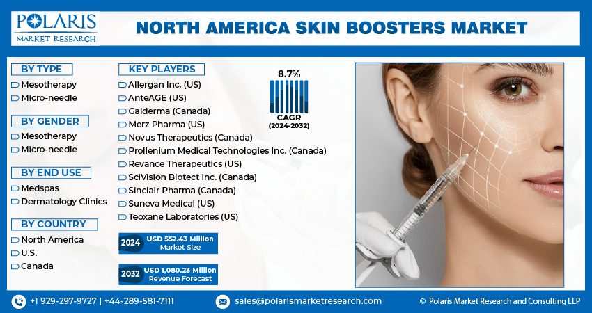 North America Skin Boosters Market Size, Growth Report, 2024-2032