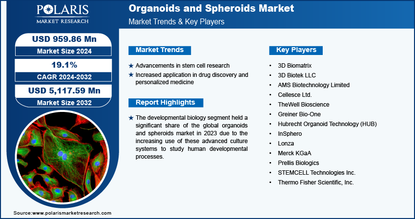 organoids-and-spheroids-market-infographic