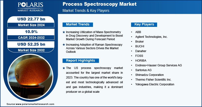 process-spectroscopy-market-infographic