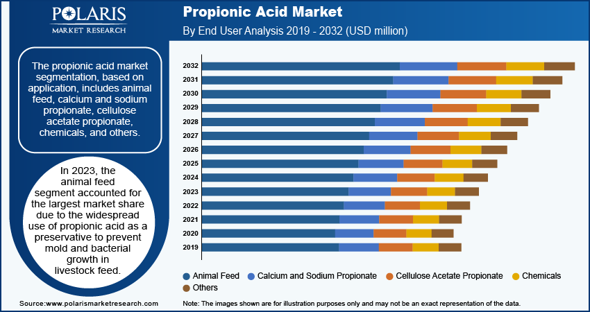 propionic-acid-market-segment