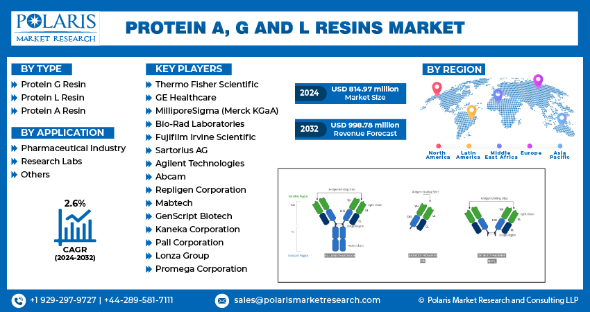 protein-a,-g-and-l-resins-market