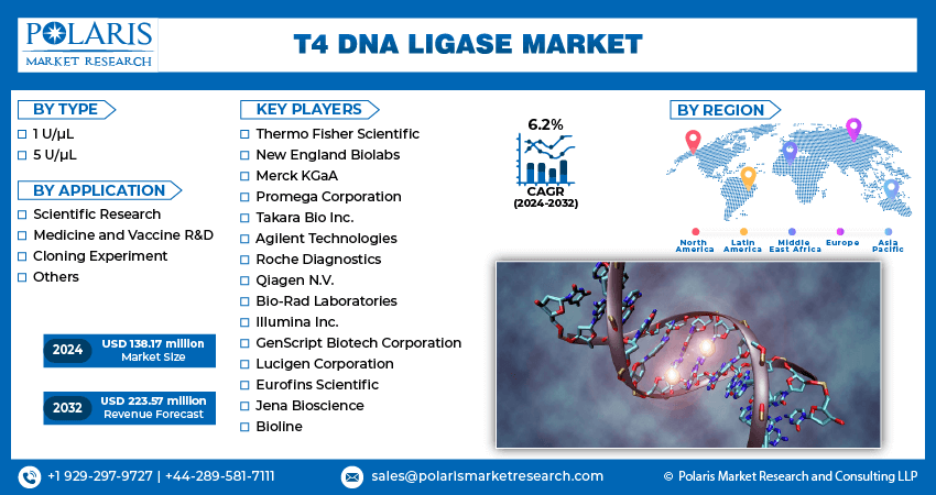 t4-dna-ligase-market-infograhic