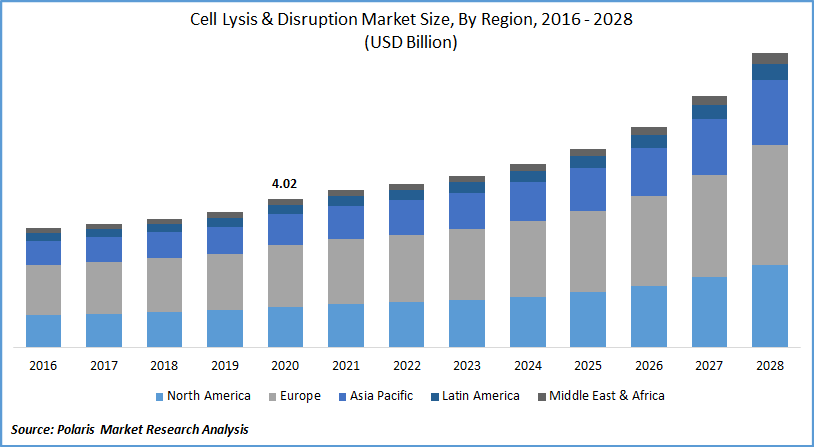 Cell Lysis & Disruption Market | 2021-28 | Size Analysis Report