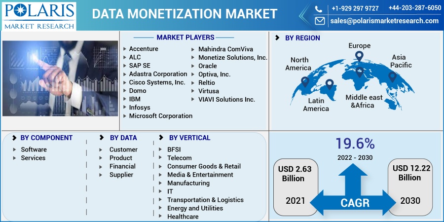 Data Monetization Market Share, Size, Trends, Industry Analysis Report ...